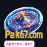 Pak67 Game