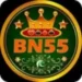 Bn55 Game