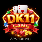 DK11 Game