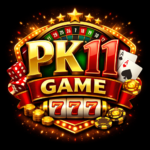 PK11 Game