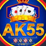 AK55 Game